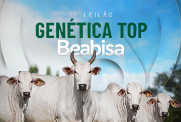 11º LEILÃO GENÉTICA TOP BEABISA